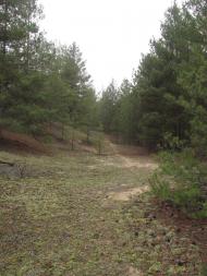 Гладківка з panoramio.com