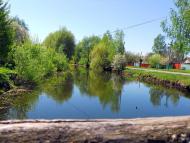 Вільшане з panoramio.com