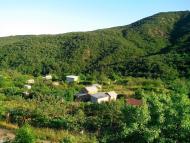 Семидвір'я з panoramio.com