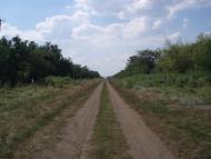 Ганно-Мусіївка - Останні фото