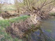 Сачки з panoramio.com