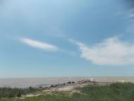 Преслав - Останні фото