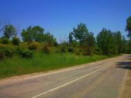 Новопавлівка з panoramio.com