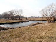 Вербіж з panoramio.com