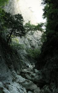 Богатир з panoramio.com