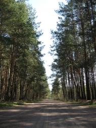 Лісівщина з panoramio.com