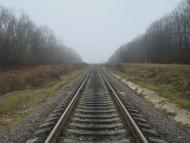 Соколівка з panoramio.com