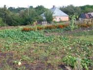 Бірки з panoramio.com