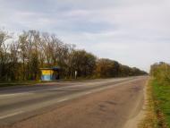 Пищики - Последние фото