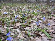 Bayrak - Latest photos