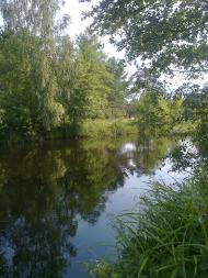 Osnytsk - Latest photos