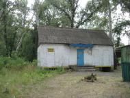 Кияшки з panoramio.com