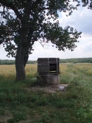 Непереможне з panoramio.com