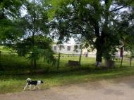 Школа І ступеня