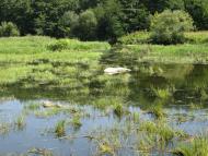 Гульськ - Останні фото