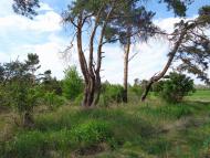 село та його жителі в різні часи