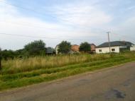 Діброва - Останні фото