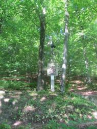 Успіння Пресвятої Богородиці