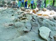 ТРИПІЛЬСЬКИЙ РОЗКОП У ВИННИКАХ