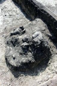 ТРИПІЛЬСЬКИЙ РОЗКОП У ВИННИКАХ