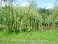 Річка Сукіль