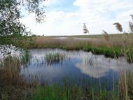 село та його жителі в різні часи