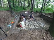 ТРИПІЛЬСЬКИЙ РОЗКОП У ВИННИКАХ