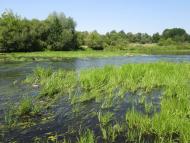 Гульськ - Останні фото