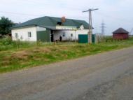 Діброва - Останні фото