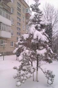 Сатанів чудовий