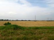 Добрівляни - Останні фото