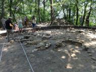 ТРИПІЛЬСЬКИЙ РОЗКОП У ВИННИКАХ