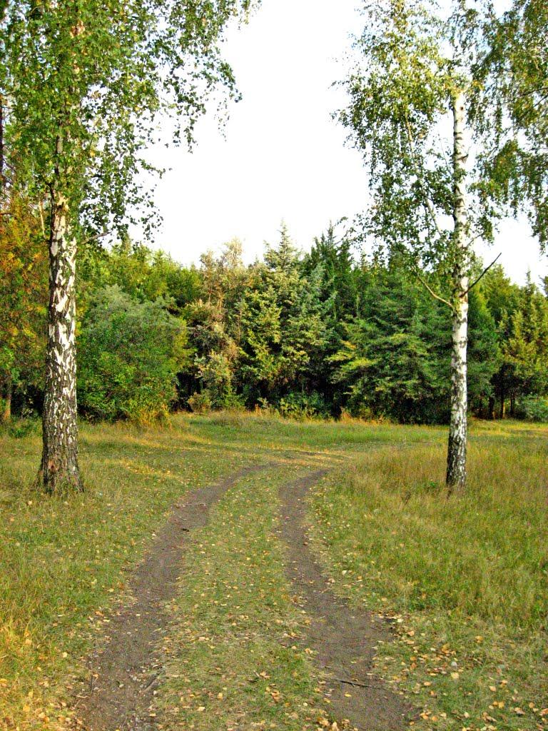 Червоні Поди з panoramio.com - Червоні Поди