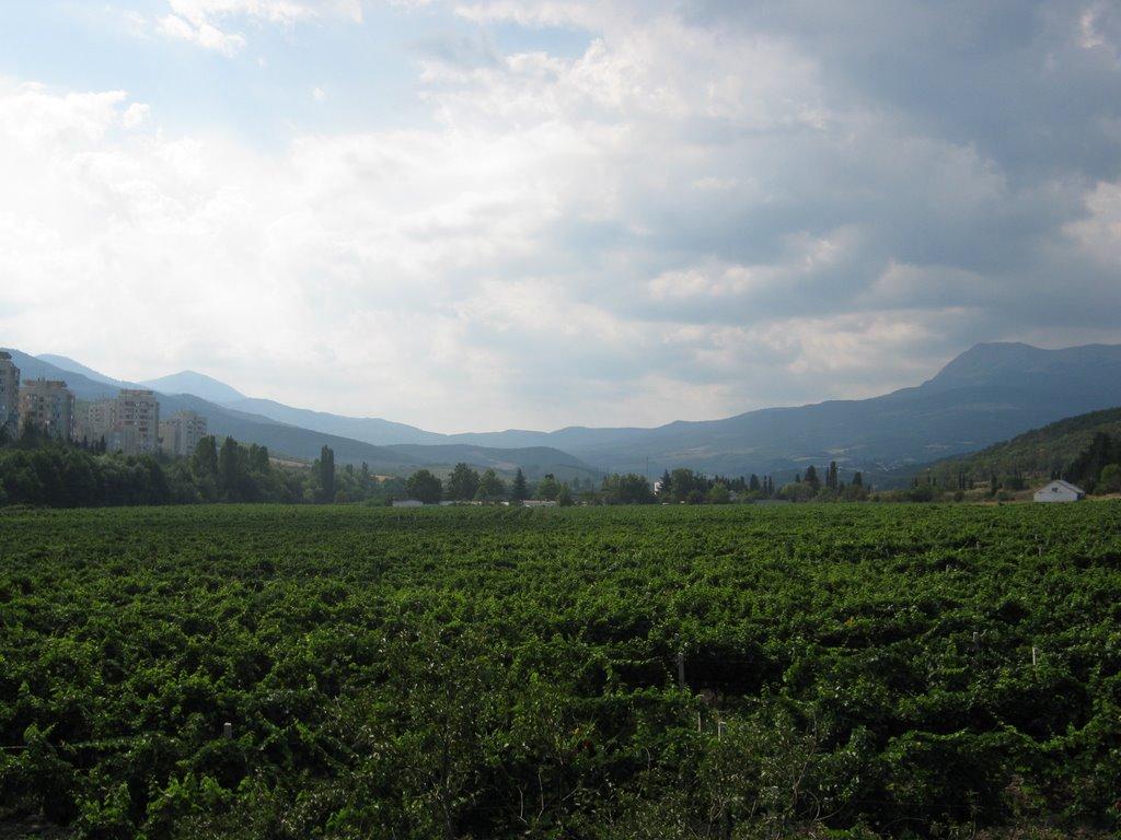 Алушта з panoramio.com (ч.3) - Alushta
