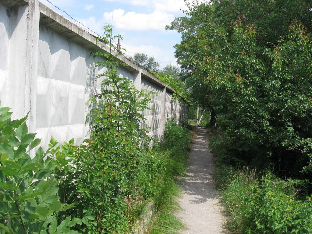 Світловодськ з panoramio.com (ч.2) - Світловодськ