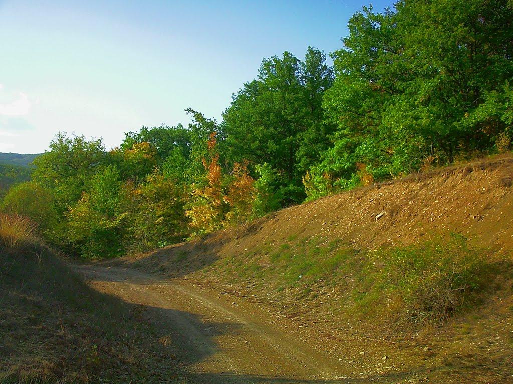Богатир з panoramio.com - Богатырь