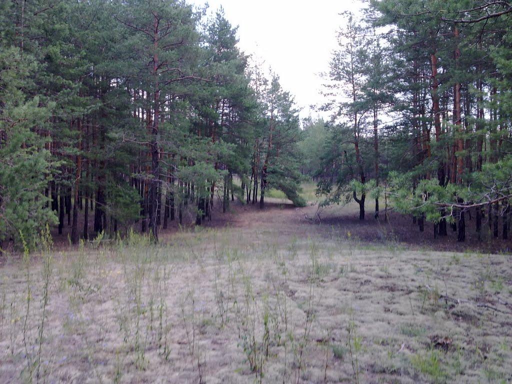 Кримки з panoramio.com - Кримки