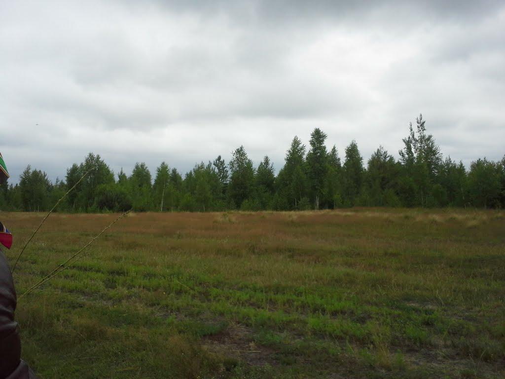 Сошники з panoramio.com - Сошники