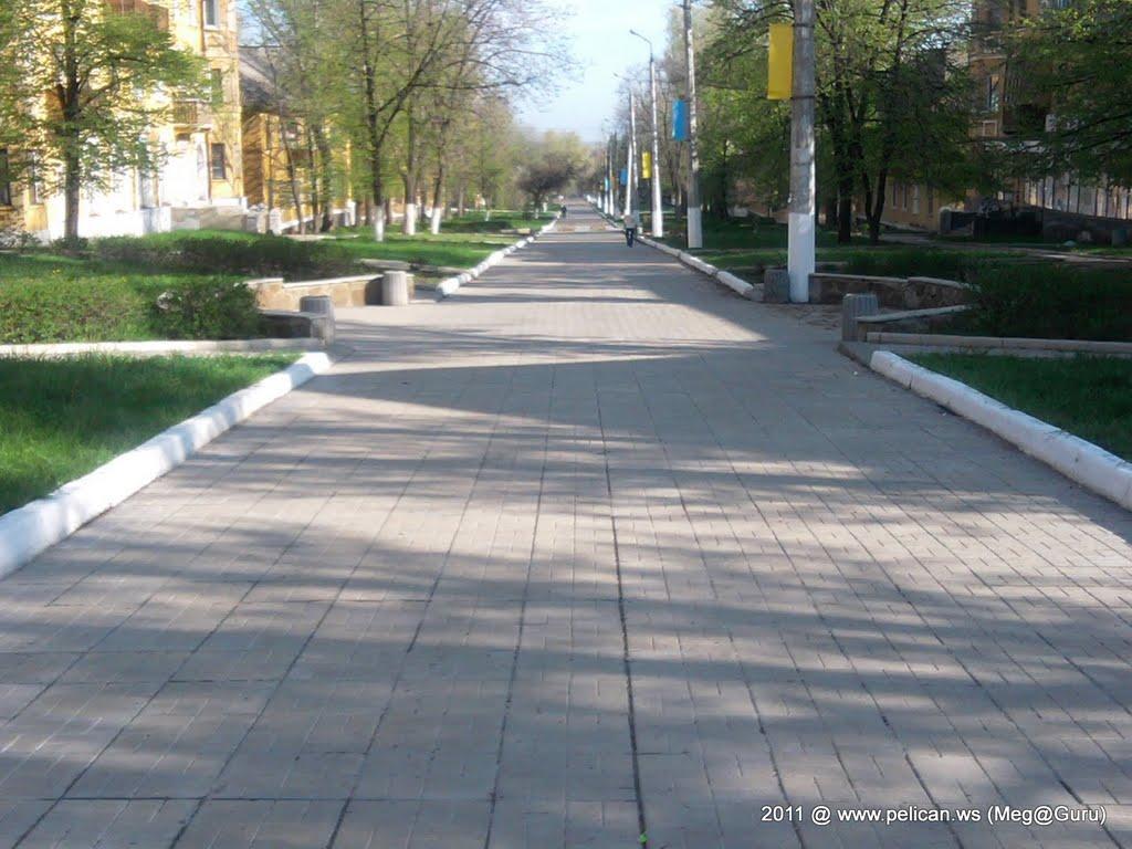 Миколаївка з panoramio.com (ч.2) - Николаевка