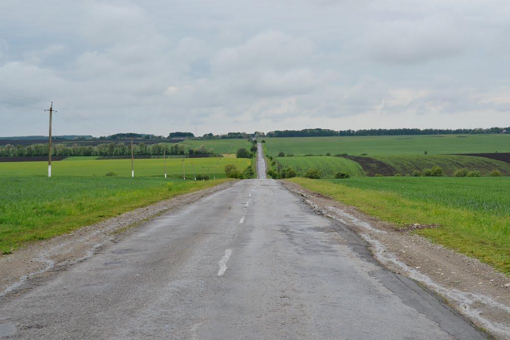 Тинна з panoramio.com - Тынная