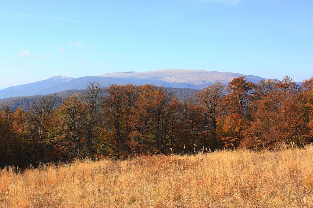 Родникова Гута з panoramio.com - Родникова Гута
