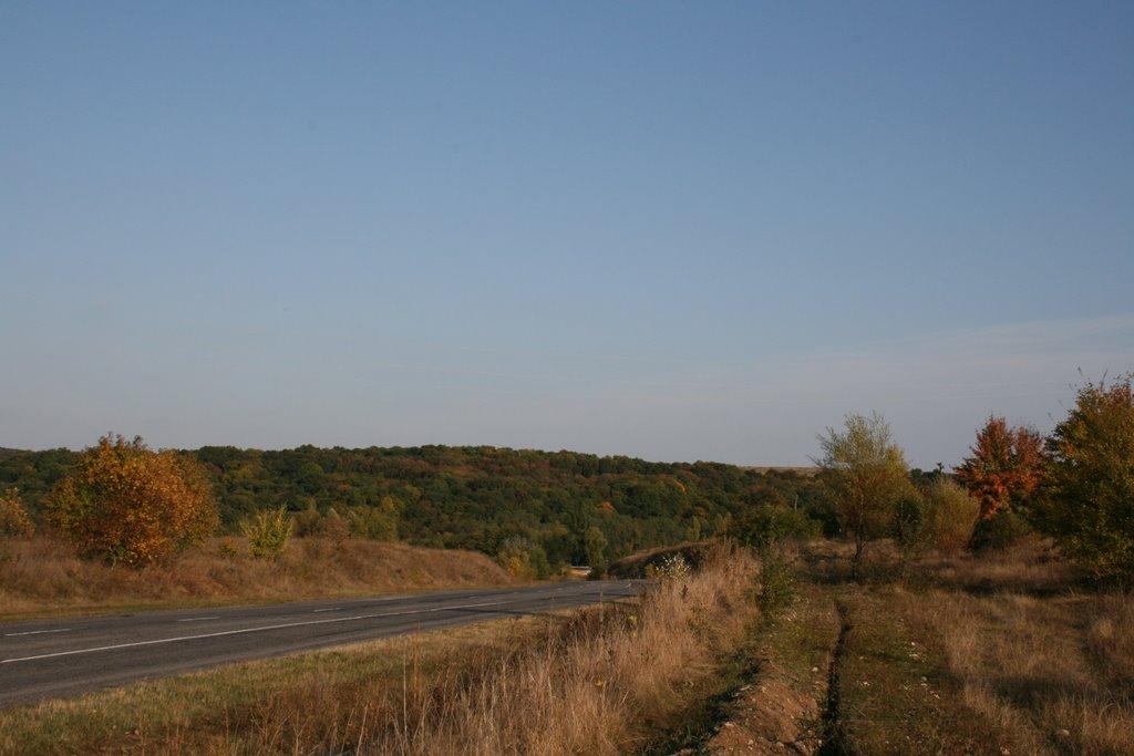 Вищеольчедаїв з panoramio.com - Вищеольчедаїв