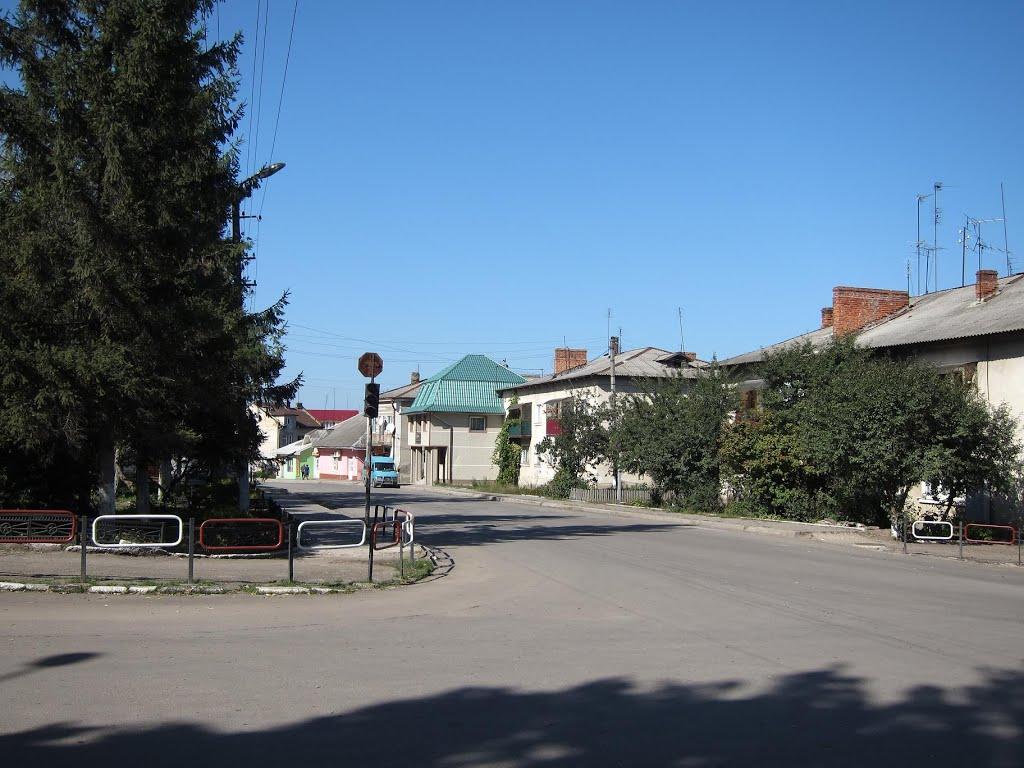 Городенка з panoramio.com - Городенка