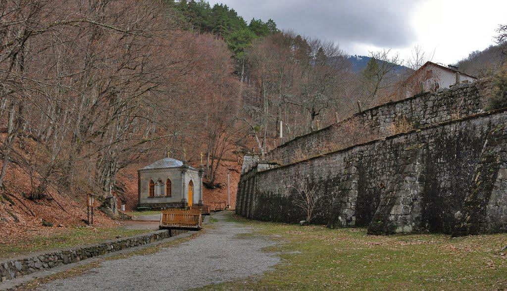 Розовий з panoramio.com (ч.2) - Розовий