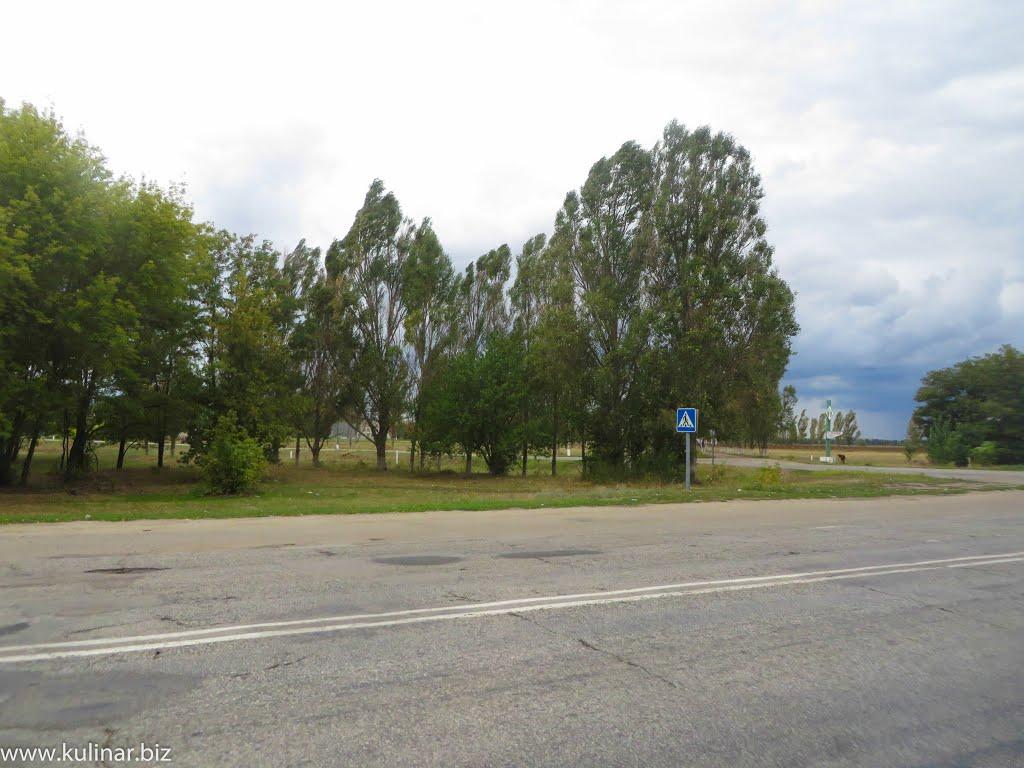 Новогорівка з panoramio.com - Новогорівка