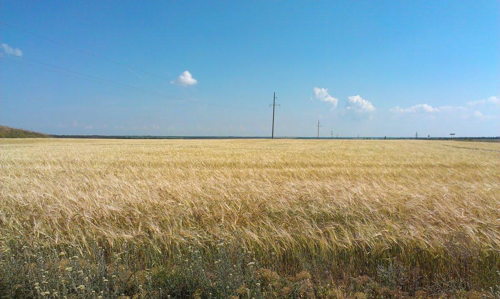 Дудчани з panoramio.com - Дудчани