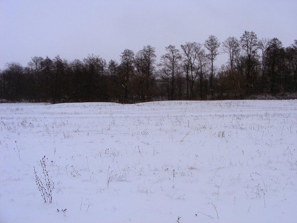 Шишаки з panoramio.com - Шишаки