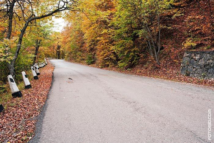 Соколине з panoramio.com (ч.2) - Соколиное