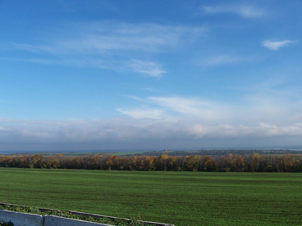 Бородаївські Хутори з panoramio.com - Бородаївські Хутори