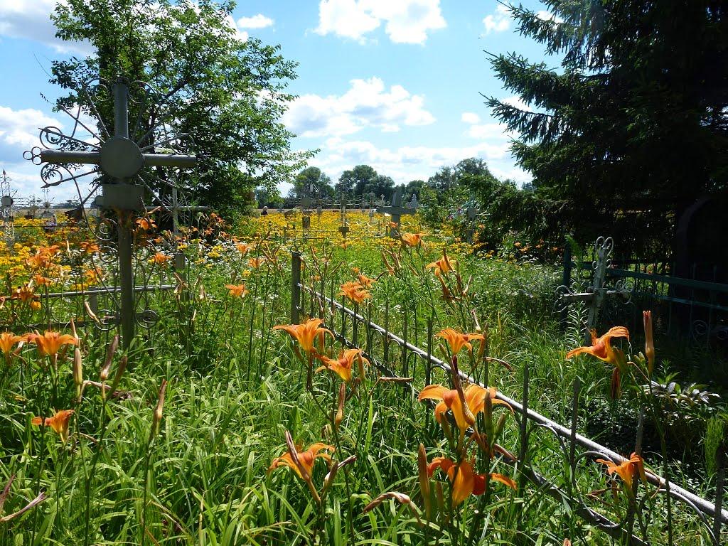 Кравчиха з panoramio.com - Кравчиха